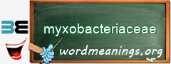 WordMeaning blackboard for myxobacteriaceae